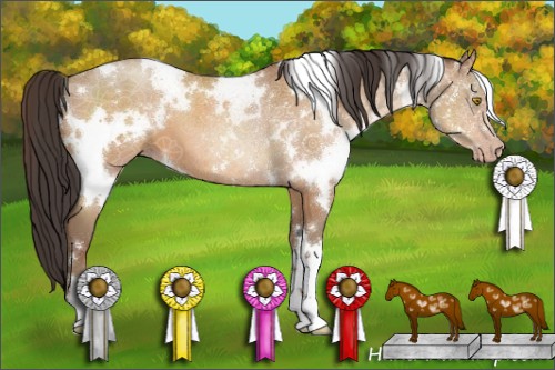 Horse Color:White Spotted Amber Champagne 