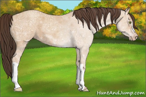 Horse Color:Amber Champagne Ice 