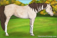 Horse Color:Amber Champagne Ice