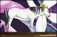 Horse Color:Gray White Spotted Bay Splash  and Gray White Spotted Bay Splash 