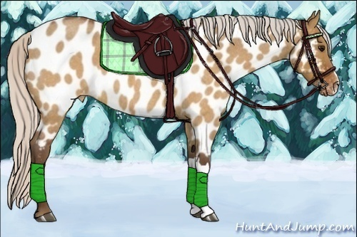 Horse Color:Silver Brown Roan Dun Appaloosa 