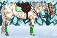 Horse Color:Silver Brown Roan Dun Near Leopard