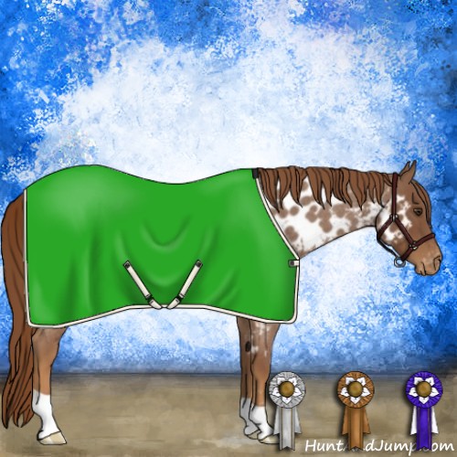 Horse Color:Red Roan Near Leopard