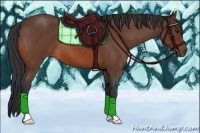 Horse Color:Bay Roan