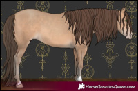 Horse Color:Amber Champagne 