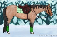 Horse Color:Bay Roan