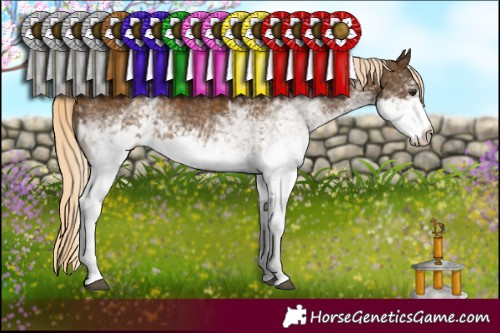 Horse Color:White Spotted Chocolate Palomino 