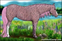 Horse Color:Watercolor Brown Ice 