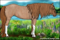 Horse Color:Red Roan Tobiano 