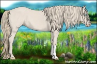 Horse Color:Smoky Creme 