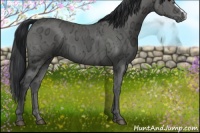 Horse Color:Black Ice 