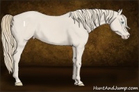 Horse Color:Smoky Creme 