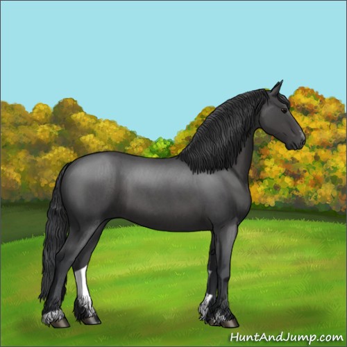 Horse Color:Blue Roan Sabino 