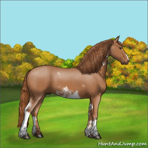 Horse Color:Chestnut Sabino and Chestnut