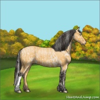 Horse Color:Silver Perlino and Buckskin