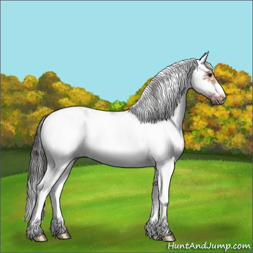 Horse Color:Bay Sabino Splash Frame 