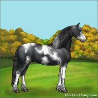 Horse Color:Black Sabino Tobiano Frame 