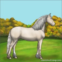 Horse Color:Silver Smoky Blue Roan Pearl Frame 
