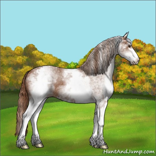 Horse Color:White Spotted Chestnut Sabino