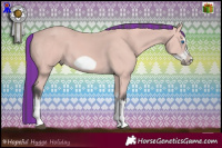 Horse Color:Platinum Painted Bay Splash Frame 