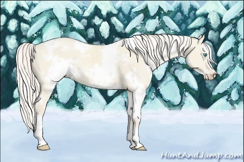 Horse Color:White Spotted Cremello Dun 