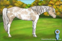 Horse Color:White Spotted Chocolate Palomino Pearl 