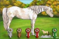 Horse Color:White Spotted Palomino Pearl 