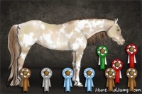 Horse Color:White Spotted Liver Red Dun Pearl 