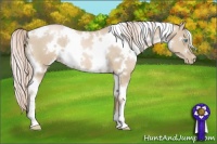 Horse Color:White Spotted Palomino Pearl 