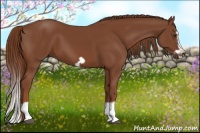 Horse Color:Chestnut Splash Frame 