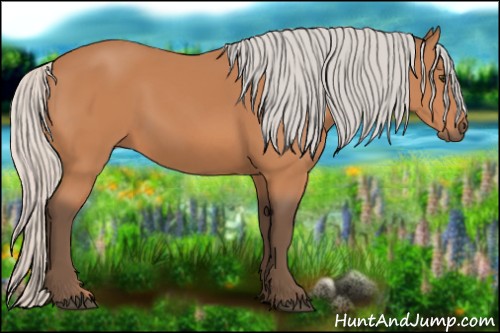 Horse Color:Silver Bay 