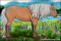 Horse Color:Silver Bay 