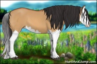 Horse Color:Bay Dun Splash 