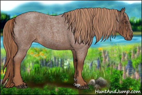 Horse Color:Red Roan
