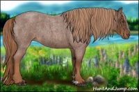 Horse Color:Red Roan 