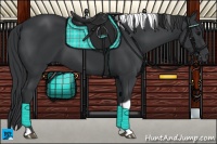 Horse Color:Black Tobiano