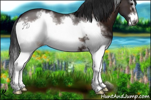 Horse Color:White Spotted Brown Frame 