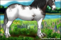 Horse Color:White Spotted Brown Frame 