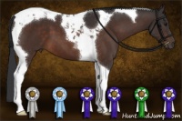 Horse Color:Brown Tobiano