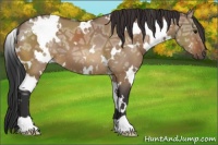 Horse Color:White Spotted Brown Ice Dun 