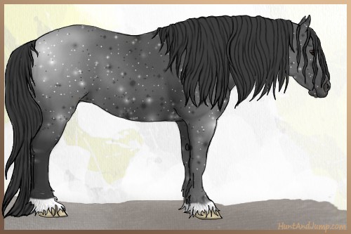 Horse Color:Smoky Black 