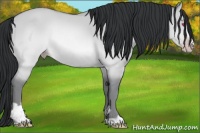 Horse Color:Sable Champagne Chinchilla Dun Sabino