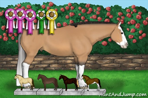 Horse Color:Buckskin Splash 