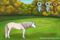 Horse Color:Perlino Splash 