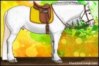 Horse Color:Red Roan Sabino Appaloosa 