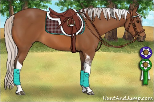 Horse Color:Silver Bay Tobiano