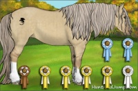 Horse Color:Chocolate Palomino Dun Brindle 