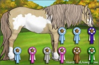 Horse Color:Chocolate Palomino Dun Frame Brindle
