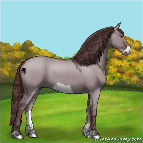 Horse Color:Chocolate Grullo Chinchilla Frame 