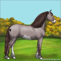 Horse Color:Chocolate Grullo Chinchilla Frame 